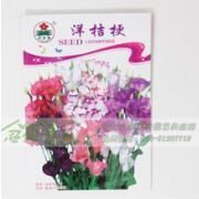 北京世纪盆花 园艺与礼品花卉的完美结合