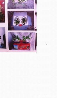 饮品批发新趋势 鲜花礼篮与礼品花卉的跨界融合