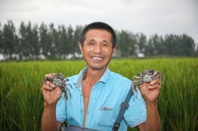 年货节苏宁拼购启动亿元农产品助农计划，礼品花卉销售迎热潮